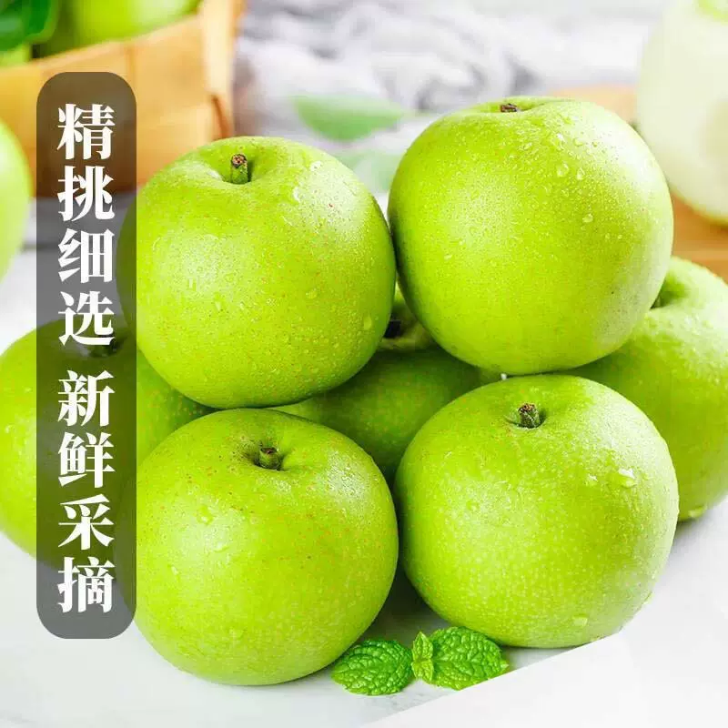 正宗安徽砀山酥脆一号青皮梨当季新鲜采摘梨子翠冠青梨产地直发