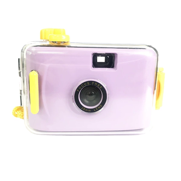 Purple yellow shell
