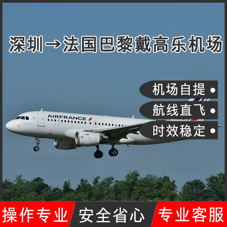 Питание для хранения энергии трехкомпонентная литиевая батарея Шэньчжэнь по воздуху в Париж, Франция, аэропорт имени Шарля де Голля