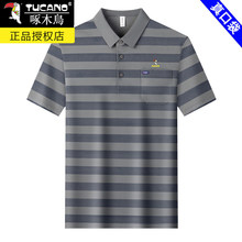 ��ľ�B�\������t����ʿ�ļ����z���I�пڴ�����ְ��b����polo��