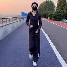 运动时尚连帽休闲卫衣套装2024秋冬减龄直筒裤加绒加厚两件套女装