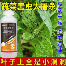 跳甲专用药油菜白菜黄条跳甲白粉虱跳蚤抗性跳甲专用农药杀虫剂