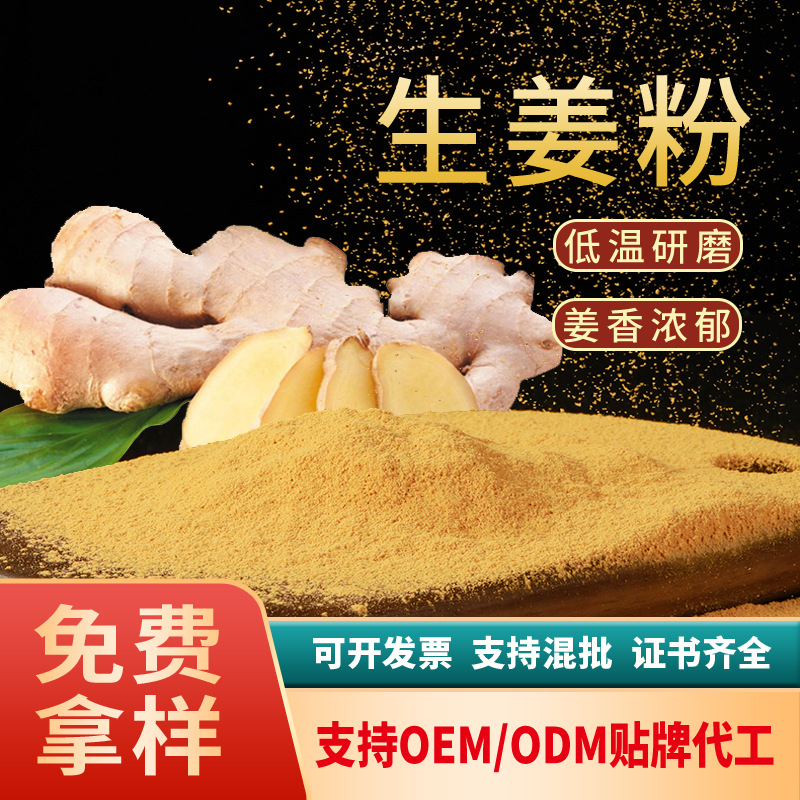 广东东莞 批量供应 脱水生姜粉干姜粉 调味料粉 量大优惠