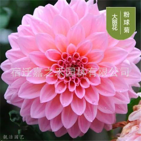 微信图片_20210607113719