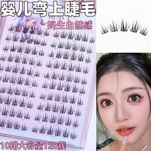 大容量仙子婴儿弯眼睫毛自然纤长微翘漫画妈生感自嫁接假睫毛批发