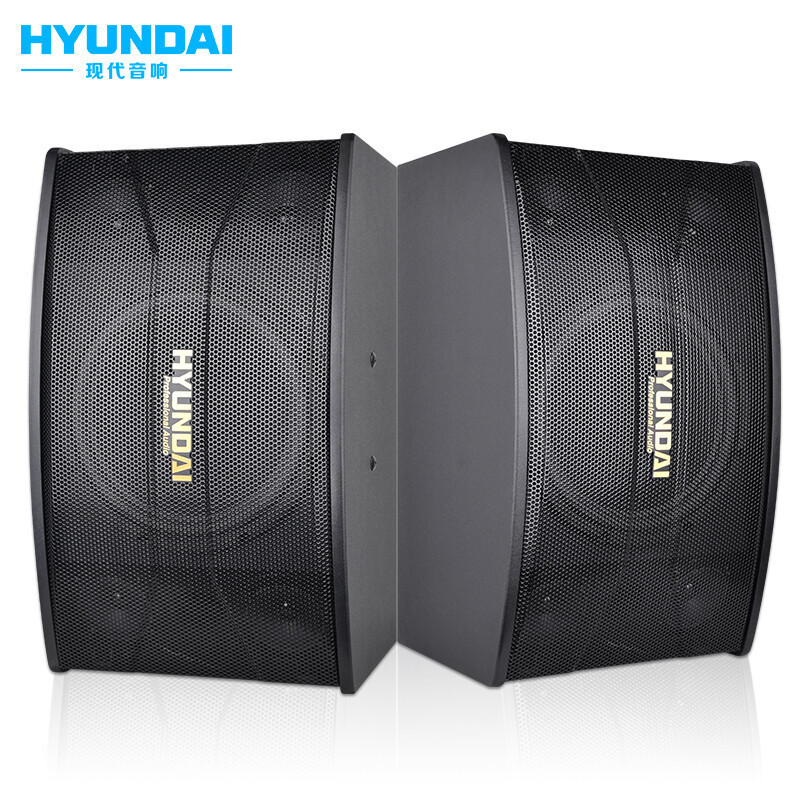 HY-110B(한 쌍의 10inch 스피커)