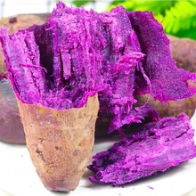 新鲜紫薯农家自种现挖新鲜沙地紫色番薯蔬菜紫薯番薯粉糯整箱