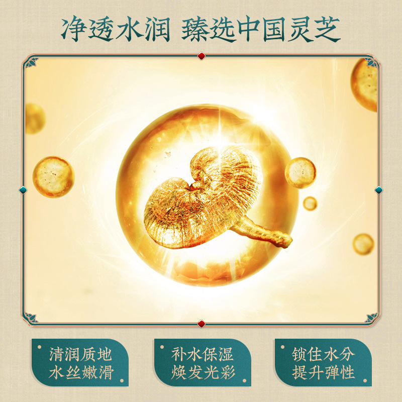 韩婵灵芝光果甘草羊胎素凝肌十件套深度补水护肤品套装面部护理套|undefined