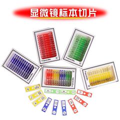 Xue Yuma Microscope Biological Slices Red, Yellow, Blue and Green Four Colors Children's Homemade Plastic Specimen Slices 12 Pieces Boxed