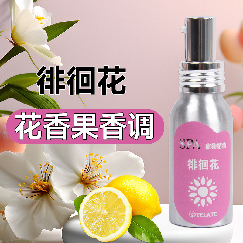 뮤즈 로즈 50ml