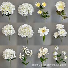 ���Ļ�c�廨��ˇܛ�b�bҾӔ[���Ĕz����õ�彑�����ٺ�