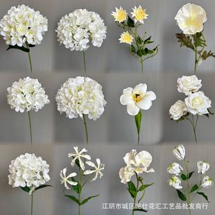 ���Ļ�c�廨��ˇܛ�b�bҾӔ[���Ĕz����õ�彑�����ٺ�