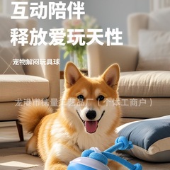 国境を越えた新しいペット玩具ボール知能回転ボール電動退屈歯ぎしりに強い歯ぎしり犬玩具ボール
