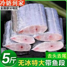 国产带鱼中段冷冻小眼无冰新鲜海鲜东海水产刀鱼冷冻水产批发