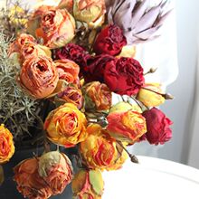 �ɿݵļٻ��߷��氵�tɫõ�� ��׽z���b[�����ŏ͹Ž�����