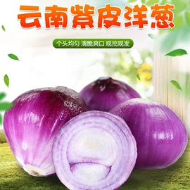 桃子;瓜果类;苹果