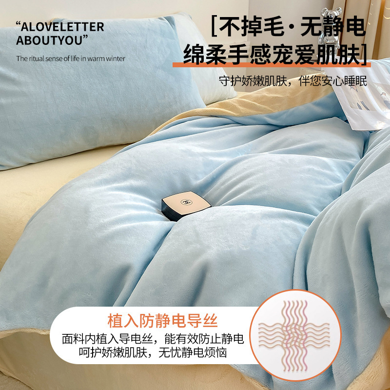 Invierno engrosado de leche de lana de cuatro piezas set2025 nuevo sábanas de lana de coral flange sábanas de cama dormitorio set de tres piezas