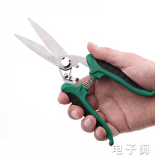 ��ɭ늹����ۼ���ӄ������w��݆������|�FƤ���z��늾���