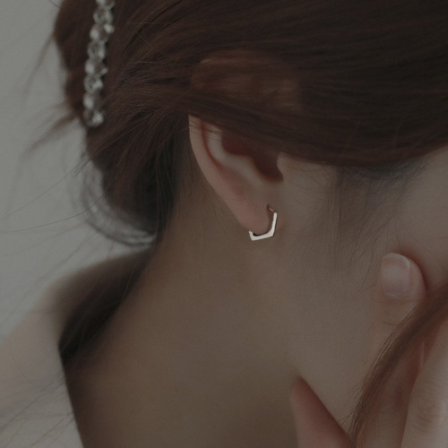 Earrings for women summer  new trendy earrings design niche simple and versatile temperament earrings earrings silver earrings