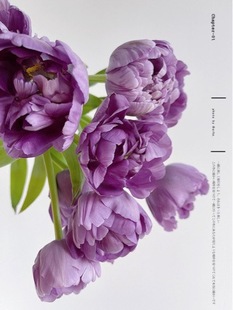 ����S��朡����xA����ɫ�ذ������㙎�ʓ����ˮ���л�38������