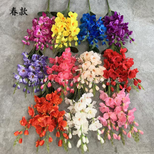 �������5����m�������羳���Q��c�ҾӾƵ��̈��b[�ż�