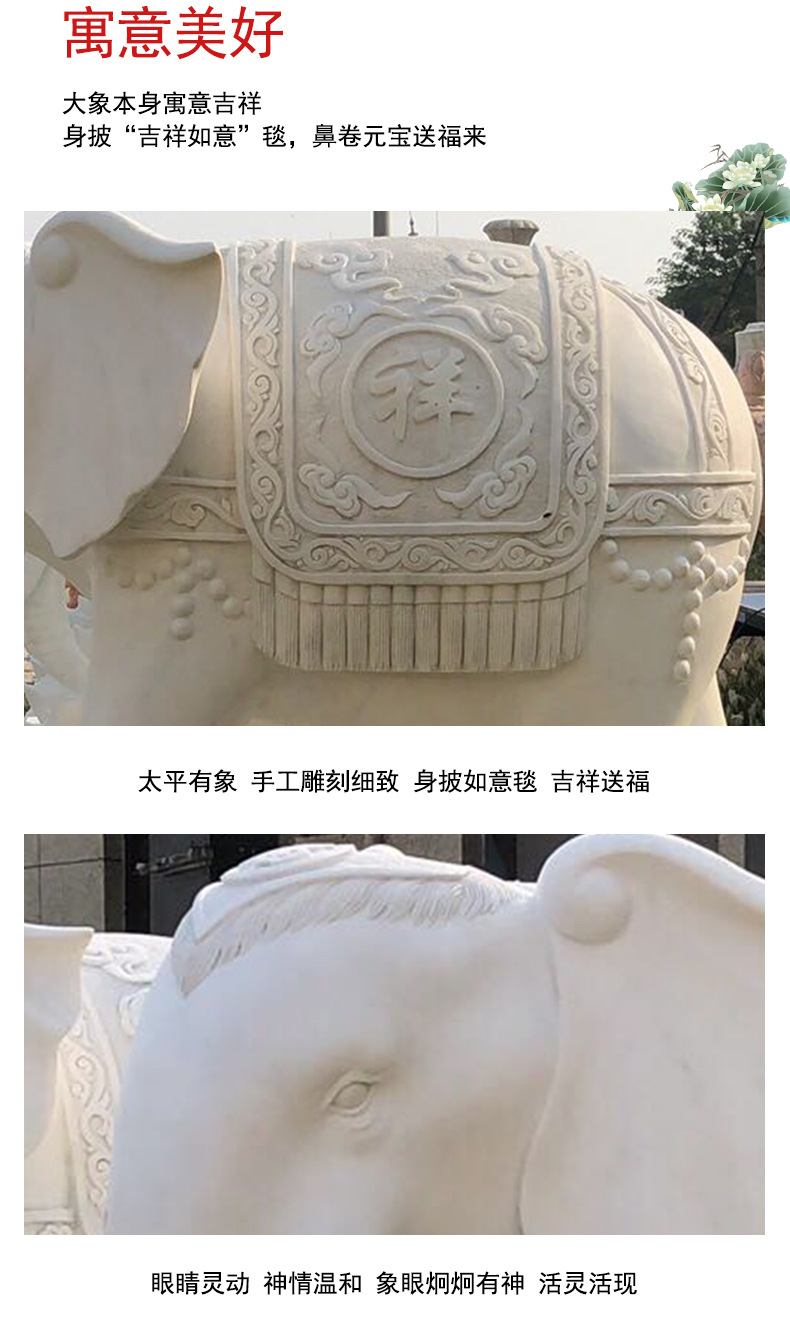 大象详情页_08.jpg