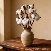 �����޻��ɻ������� �ֹ�diy�����}�Q�b��h�����c�b廨