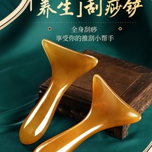 2025¿βiyܰ͹Ħiȱȫ֬P