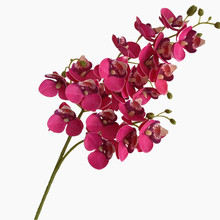 3D打印蝴蝶兰 17色 3叉仿真手感21头迷你兰花星梦仿生花卉