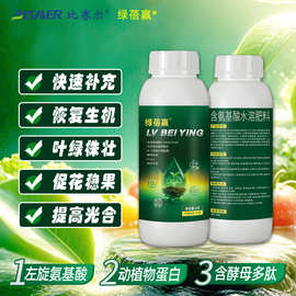 比赛尔绿蓓赢含氨基酸叶面肥蔬菜果树水溶肥料厂家批发