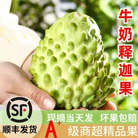 其他水果;奇异果猕猴桃;番石榴/芭乐