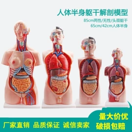 教学演示用品;教学仪器;数理教学器材