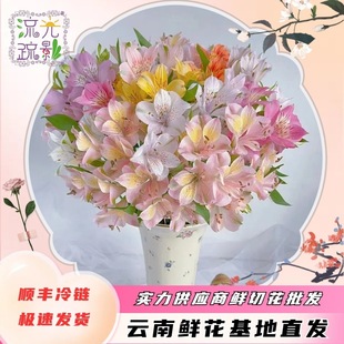 Six-Out Narcissus Lily Flowers Yunnan Kunming Base Fresh Cut Flower Perfume Lily Straight Hair Stall Group Purchase Wholesale