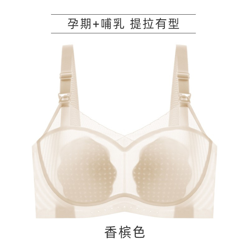 샴페인