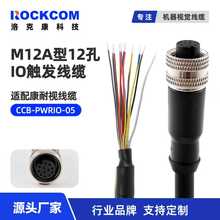 ���ݺ����~˼��Cognex����ҕ���C�|�l��CCB-PWRIO-05/10/15�Դ��