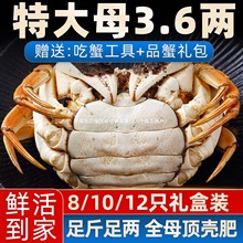 [��з]���lз�r���з�F؛�ٷ���ŞȫĸꖳζY���b���r��з