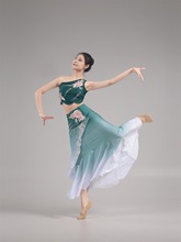 【2024新品傣族合辑】傣族民族舞蹈演出服学生艺考练习傣族裙其他