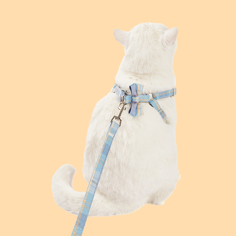 Correa de perro correa de pecho chaleco Cadena de perro pequeño Teddy Corgi perro caminando cuerda de perro ajustable