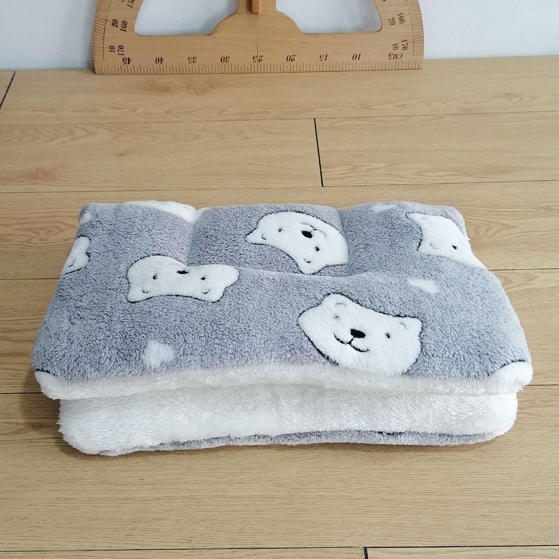 회색곰