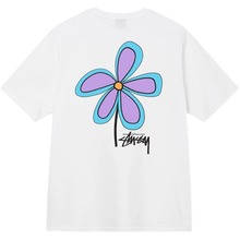 ������ǰ����STU˹�D�����~���¿��ӡ��T����Ů���ɶ���