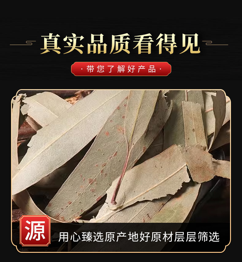 Eucalyptus Leaves (Eucalyptus globulus) — Dried Herbal Leaf for Tea, Steam & Soak quality and texture