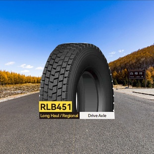 Shuangqian Brand Doublecoin Tires 295/80R22.5-18 (Rlb451) Pattern Tires