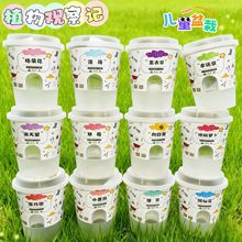 创意迷你小盆栽学生绿植盆栽室内儿童小礼物盆栽植物真花种植批发