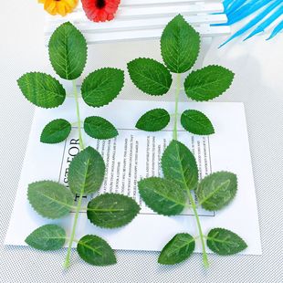 ����ֲ�ﻨ�~���zӡõ���~�b��~Ƭ�z�W��õ�廨�����~�����