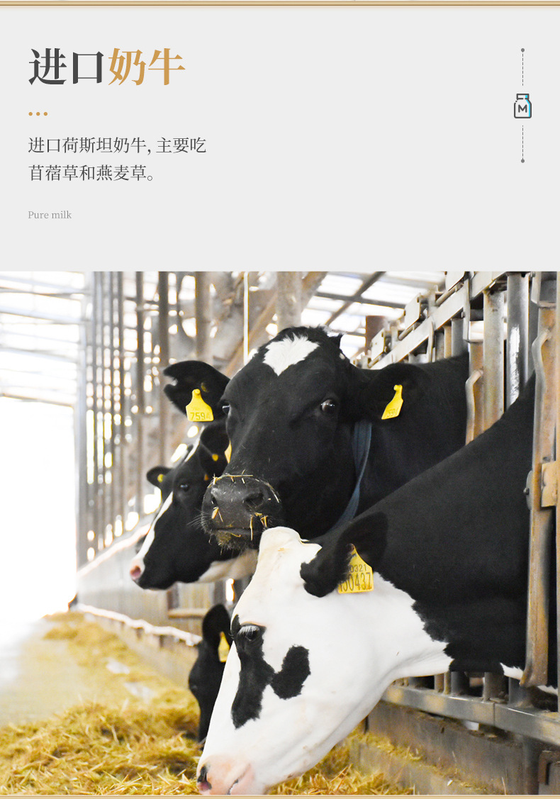 详情页_03