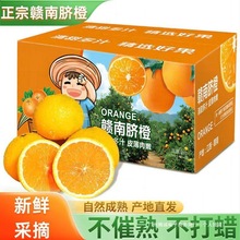 正宗江西赣南脐橙10斤新鲜现摘孕妇纯甜水果整箱彩箱20斤送礼佳品