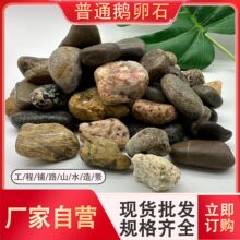 鹅卵石5-8公分变电站专用抛光多彩鹅卵石铺路造景水处理用河卵石