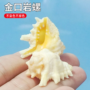 ��ȻС����ؐ��������ݼҾ��b��~���쾰����[���ֹ�diyˮ���^