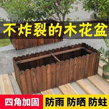 ����ľ����̼���Ӻ�Nֲ��ľ�����̨ͥԺ�����L���λ��ۻ���N��