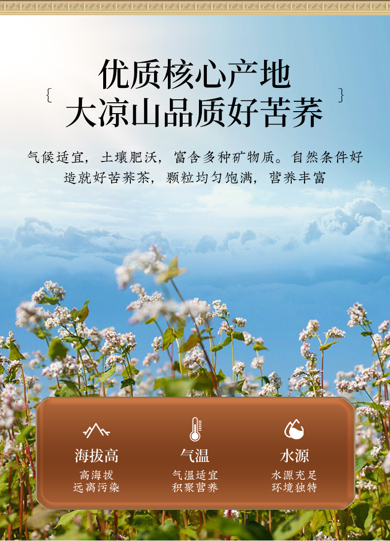 Tartary Buckwheat Tea Ku Qiao Cha 500g Sichuan Daliangshan Roasted Whole Grain Herbal Tea Caffeine Free overview
